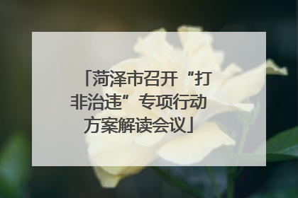 菏泽市召开“打非治违”专项行动方案解读会议