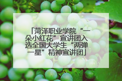 菏泽职业学院“一朵小红花”宣讲团入选全国大学生“两弹一星”精神宣讲团