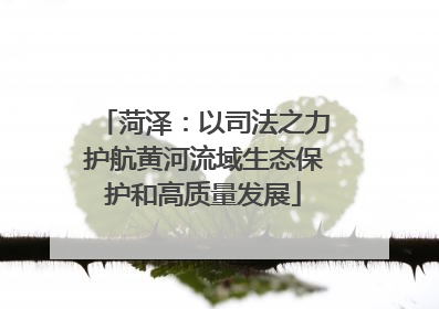 菏泽：以司法之力护航黄河流域生态保护和高质量发展
