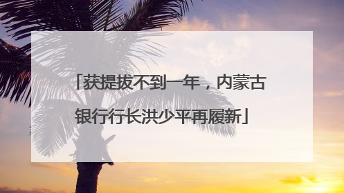 获提拔不到一年，内蒙古银行行长洪少平再履新