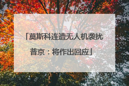 莫斯科连遭无人机袭扰 普京：将作出回应