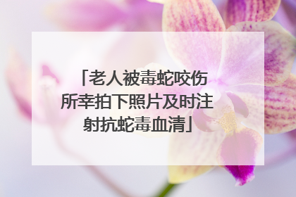 老人被毒蛇咬伤 所幸拍下照片及时注射抗蛇毒血清