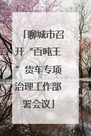 聊城市召开“百吨王”货车专项治理工作部署会议