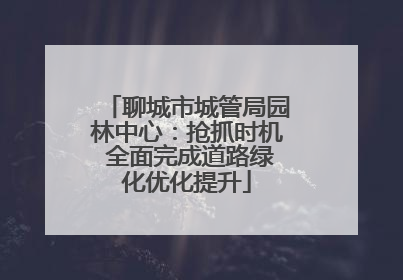 聊城市城管局园林中心：抢抓时机 全面完成道路绿化优化提升