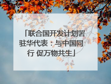 联合国开发计划署驻华代表：与中国同行 促万物共生