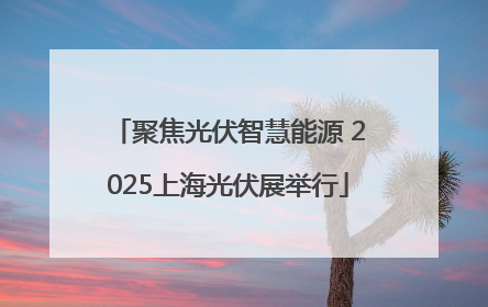 聚焦光伏智慧能源 2025上海光伏展举行