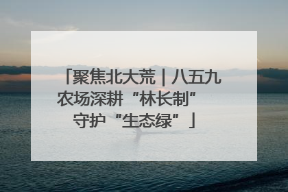 聚焦北大荒｜八五九农场深耕“林长制” 守护“生态绿”