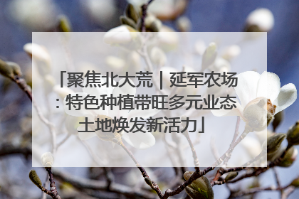 聚焦北大荒｜延军农场：特色种植带旺多元业态 土地焕发新活力