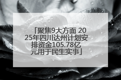 聚焦9大方面 2025年四川达州计划安排资金105.78亿元用于民生实事