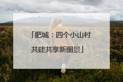 肥城：四个小山村共建共享新图景