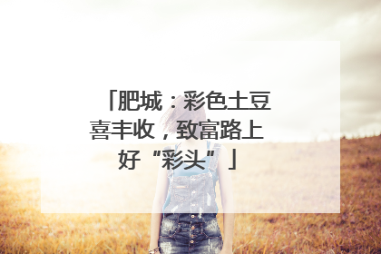 肥城：彩色土豆喜丰收，致富路上好“彩头”