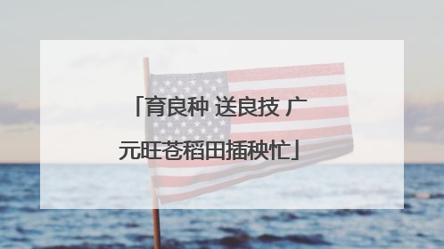 育良种 送良技 广元旺苍稻田插秧忙