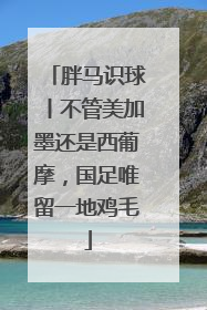 胖马识球丨不管美加墨还是西葡摩，国足唯留一地鸡毛