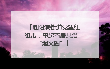 胜阳港街道党建红纽带，串起商居共治 “烟火圈”