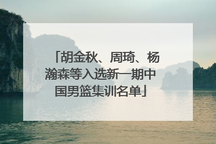胡金秋、周琦、杨瀚森等入选新一期中国男篮集训名单