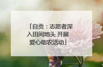 自贡：志愿者深入田间地头 开展爱心助农活动