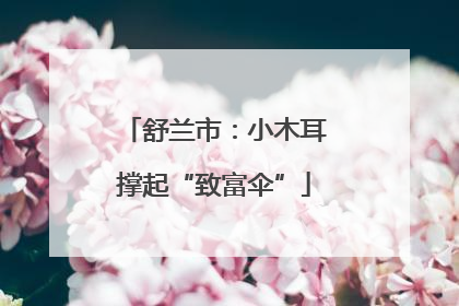 舒兰市：小木耳撑起“致富伞”