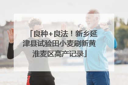 良种+良法！新乡延津县试验田小麦刷新黄淮麦区高产记录