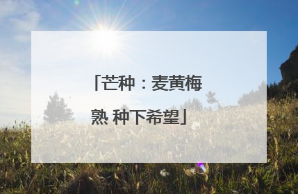 芒种：麦黄梅熟 种下希望