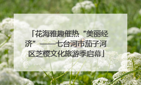 花海雅趣催热“美丽经济”——七台河市茄子河区芝樱文化旅游季启幕
