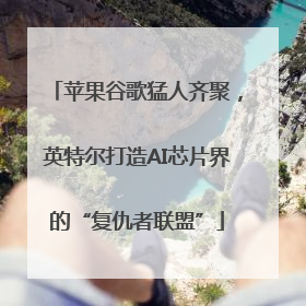 苹果谷歌猛人齐聚，英特尔打造AI芯片界的“复仇者联盟”