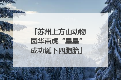 苏州上方山动物园华南虎“星星”成功诞下四胞胎