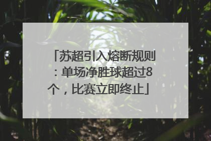 苏超引入熔断规则：单场净胜球超过8个，比赛立即终止