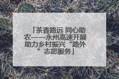 茶香路远 同心助农——永州高速开展助力乡村振兴“路外”志愿服务