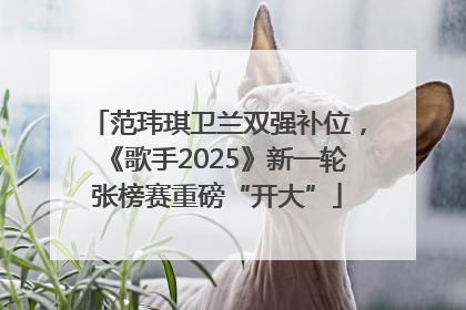 范玮琪卫兰双强补位，《歌手2025》新一轮张榜赛重磅“开大”