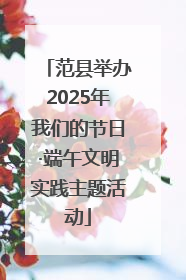 范县举办2025年我们的节日·端午文明实践主题活动