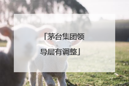 茅台集团领导层有调整