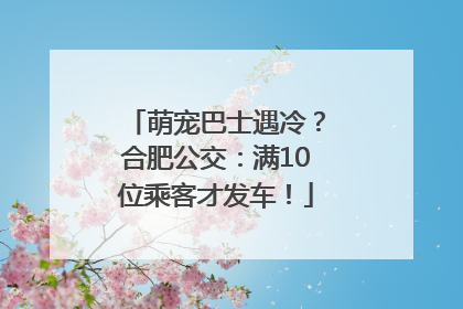 萌宠巴士遇冷？合肥公交：满10位乘客才发车！
