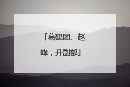 葛建团、赵峰，升副部