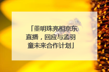 董明珠亮相京东直播，回应与孟羽童未来合作计划