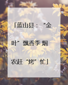 蓝山县：“金叶”飘香季 烟农赶“烤”忙