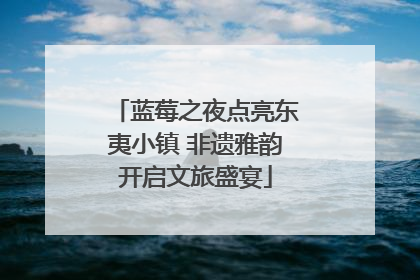 蓝莓之夜点亮东夷小镇 非遗雅韵开启文旅盛宴