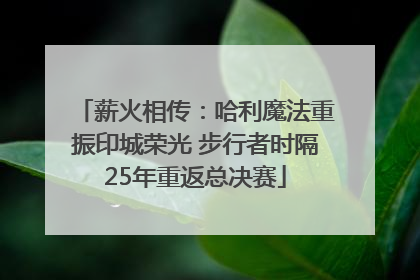 薪火相传：哈利魔法重振印城荣光 步行者时隔25年重返总决赛