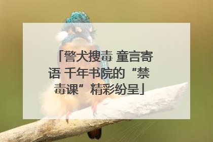 警犬搜毒 童言寄语 千年书院的“禁毒课”精彩纷呈