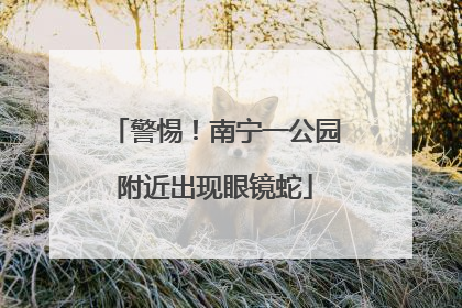 警惕！南宁一公园附近出现眼镜蛇
