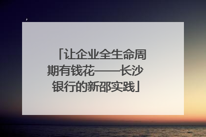 让企业全生命周期有钱花——长沙银行的新邵实践