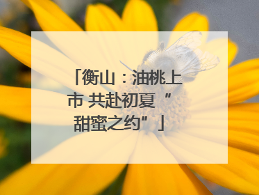 衡山：油桃上市 共赴初夏“甜蜜之约”
