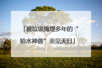 被垃圾掩埋多年的“镇水神兽”重见天日