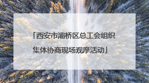 西安市灞桥区总工会组织集体协商现场观摩活动