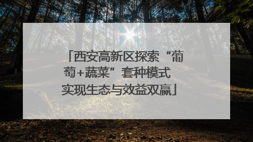 西安高新区探索“葡萄+蔬菜”套种模式 实现生态与效益双赢
