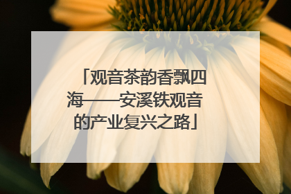 观音茶韵香飘四海——安溪铁观音的产业复兴之路