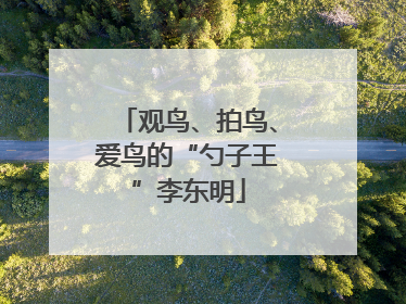 观鸟、拍鸟、爱鸟的“勺子王”李东明