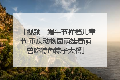 视频｜端午节撞档儿童节 重庆动物园萌娃看萌兽吃特色粽子大餐