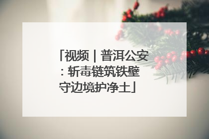 视频｜普洱公安：斩毒链筑铁壁 守边境护净土