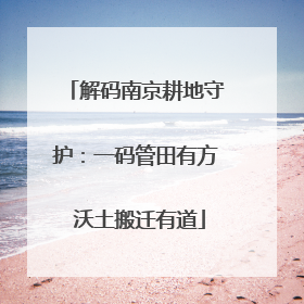 解码南京耕地守护：一码管田有方 沃土搬迁有道