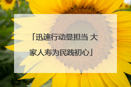 迅速行动显担当 大家人寿为民践初心